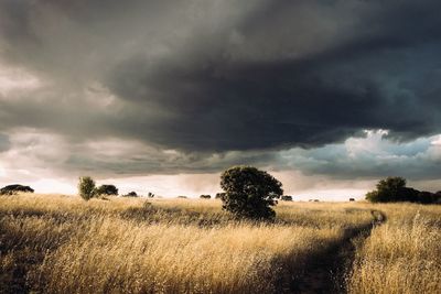 Scenic view of field against dramatic sky