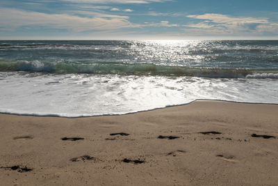 sea