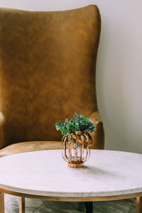 Close-up of potted plant on table