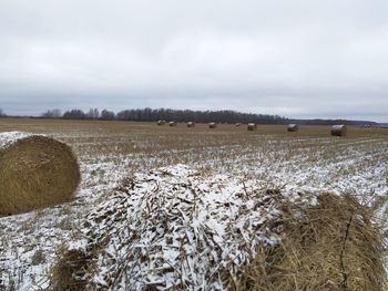 Hay bales on field against sky during winter