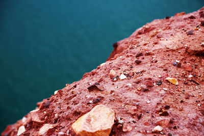 Close-up of rock by sea