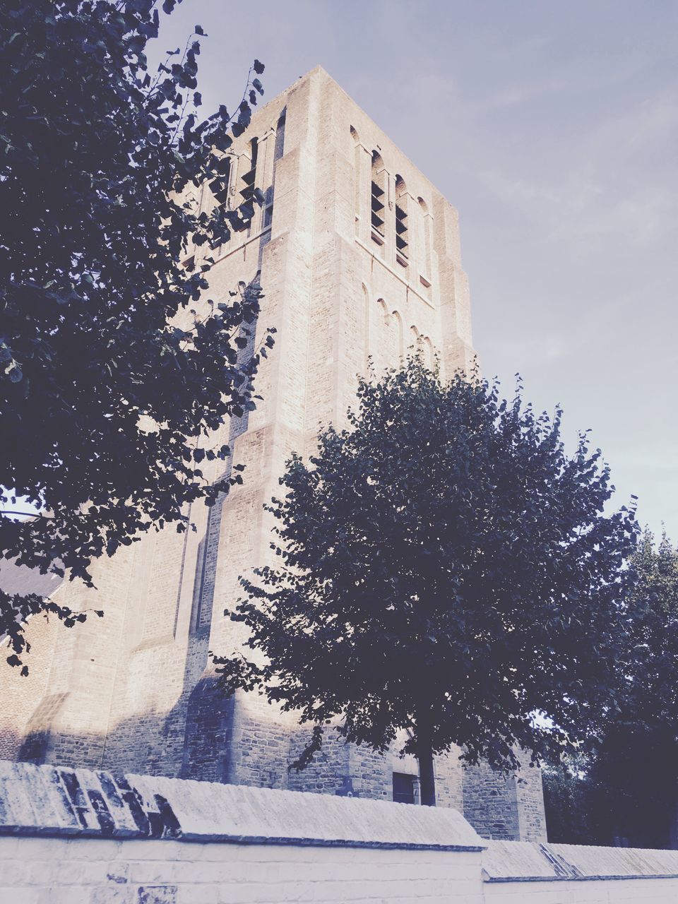 tree, architecture, building exterior, built structure, history, day, outdoors, sky, place of worship, low angle view, travel destinations, no people, clock tower, nature, city