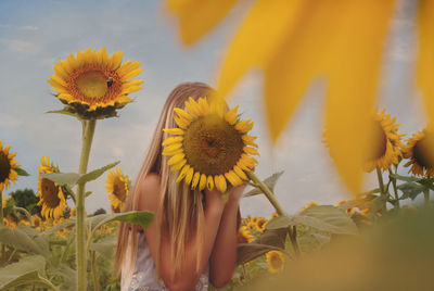 Woman hiding behind sunflower at farm