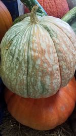 Close-up of pumpkin