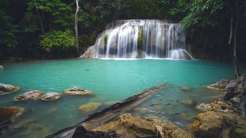 Scenic view of waterfall in forest