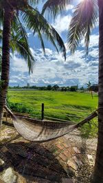 Scenic view of palm trees on field against sky