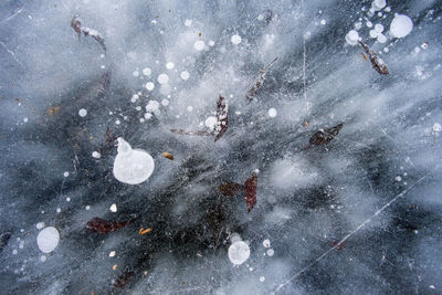 High angle view of person on snow