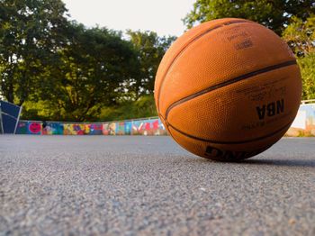 Close-up of basketball hoop by trees