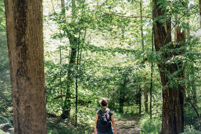 Rear view of woman walking in forest