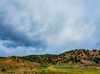 Scenic view of field against sky