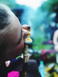 Close-up of hand holding mushroom