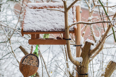 Snow covered birdhouse on bare tree