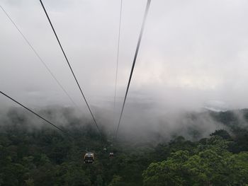 Overhead cable car in forest against sky during foggy weather