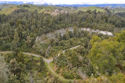 High angle view of trees and plants growing on land