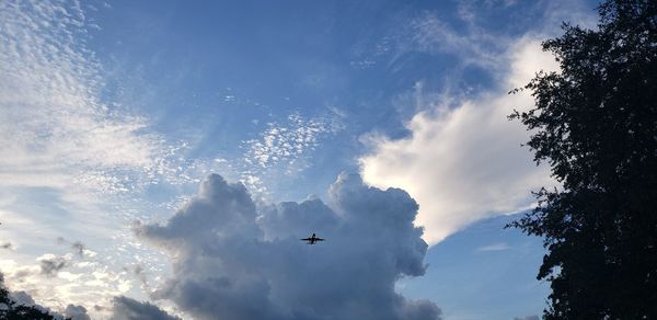 Low angle view of silhouette airplane flying in sky