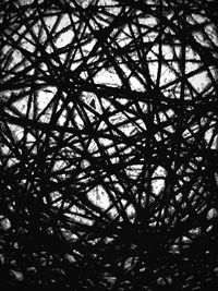 Full frame shot of tree