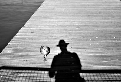 Shadow of man by bird on pier