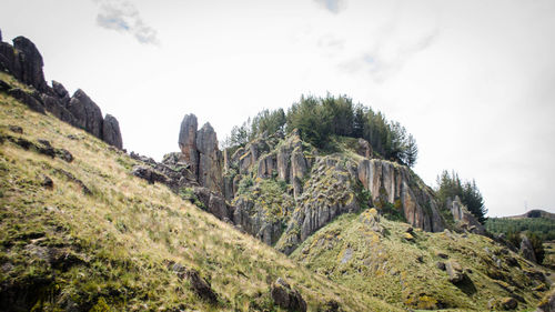 Panoramic view of trees on mountain against sky