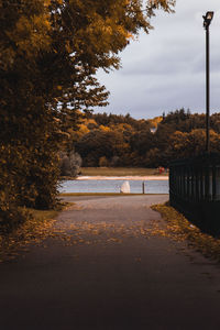 Road by trees against sky during autumn