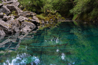 Reflection of trees on rocks in lake