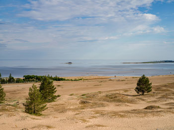 Scenic view of beach against sky