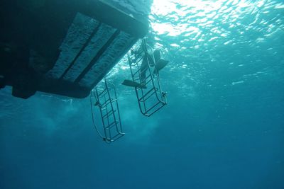 Low angle view of swimming in sea