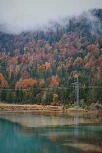 Scenic view of lake by trees against sky during autumn