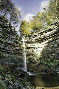 Low angle view of waterfall in forest