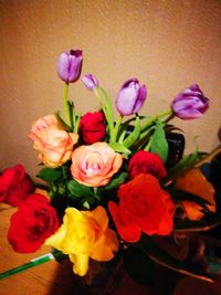 Close-up of pink flowers