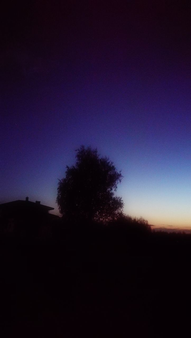 nature, beauty in nature, tree, silhouette, night, tranquil scene, tranquility, scenics, clear sky, landscape, no people, sky, outdoors, moon, astronomy, star - space, space