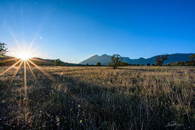 Scenic view of field against bright sun