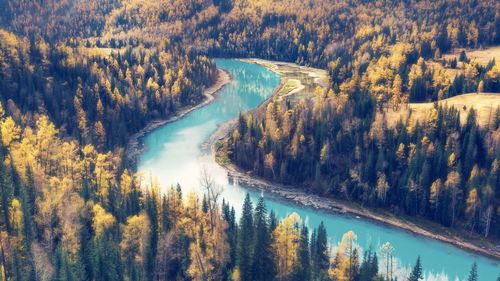 High angle view of lake amidst trees