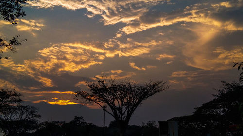 Low angle view of silhouette trees against sky at sunset