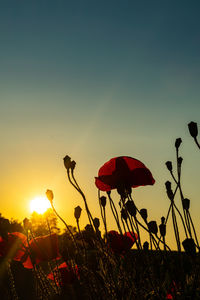 Silhouette plants growing on field against sky during sunset