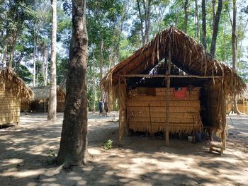 Built structure on dirt road amidst trees and plants in forest