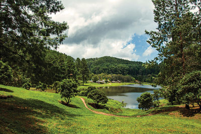 View of forest with lawn, lake and trail in cloudy day, near campos de jordao, brazil