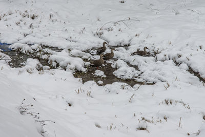 High angle view of snow covered landscape