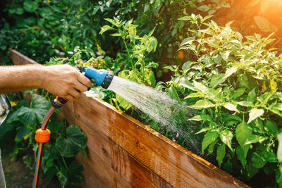 Man working in farm