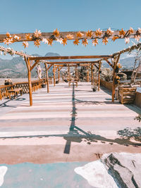 Snow covered plants against sky