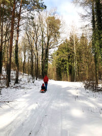 Man in snow covered path through the woods