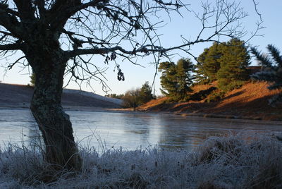 Scenic view of lake against sky