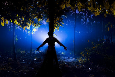 Low angle view of tree at night