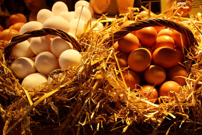 Close-up of eggs in nest