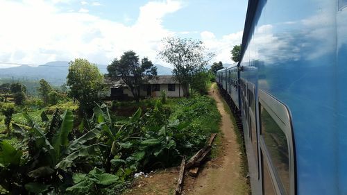 Train amidst trees and building against sky