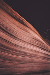 Close-up of background