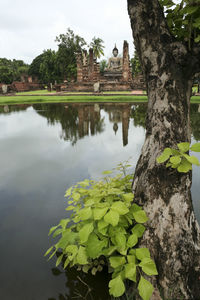 Scenic view of lake by temple