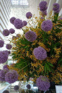 Close-up of flowers