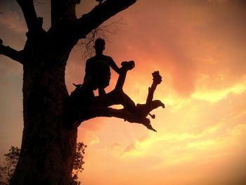 Low angle view of silhouette man sitting on branch against cloudy sky during sunset