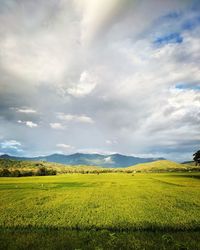 Scenic view of field against sky