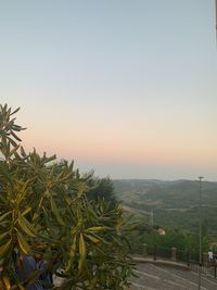 Scenic view of field against clear sky during sunset